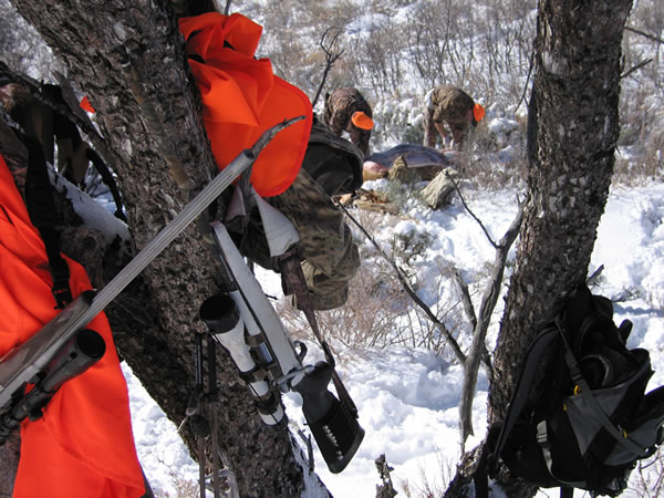 243 WSSM Cow Elk Hunt