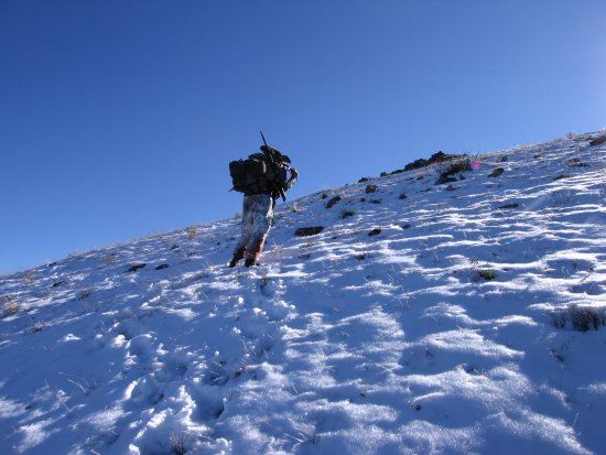 Hauling out my 30 inch mule deer