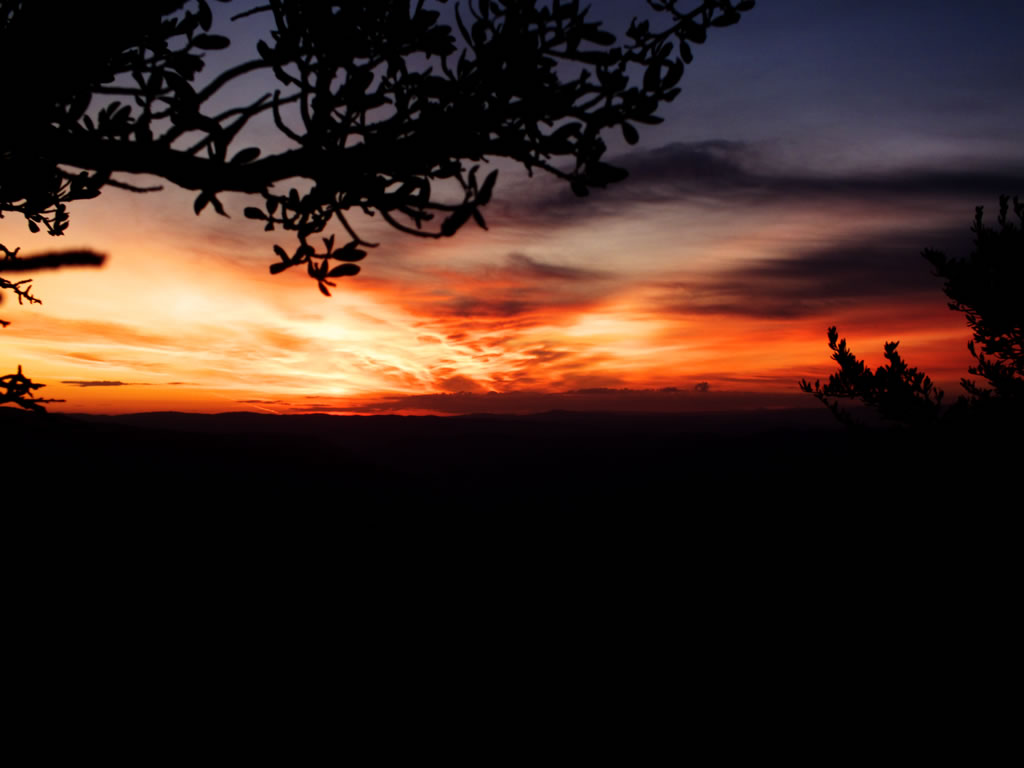 View of the Sunrise while archery elk hunting.