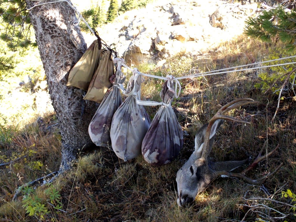 Mule deer meat boned out and hanging in the shade to cool in my homemade canvas meat bags.