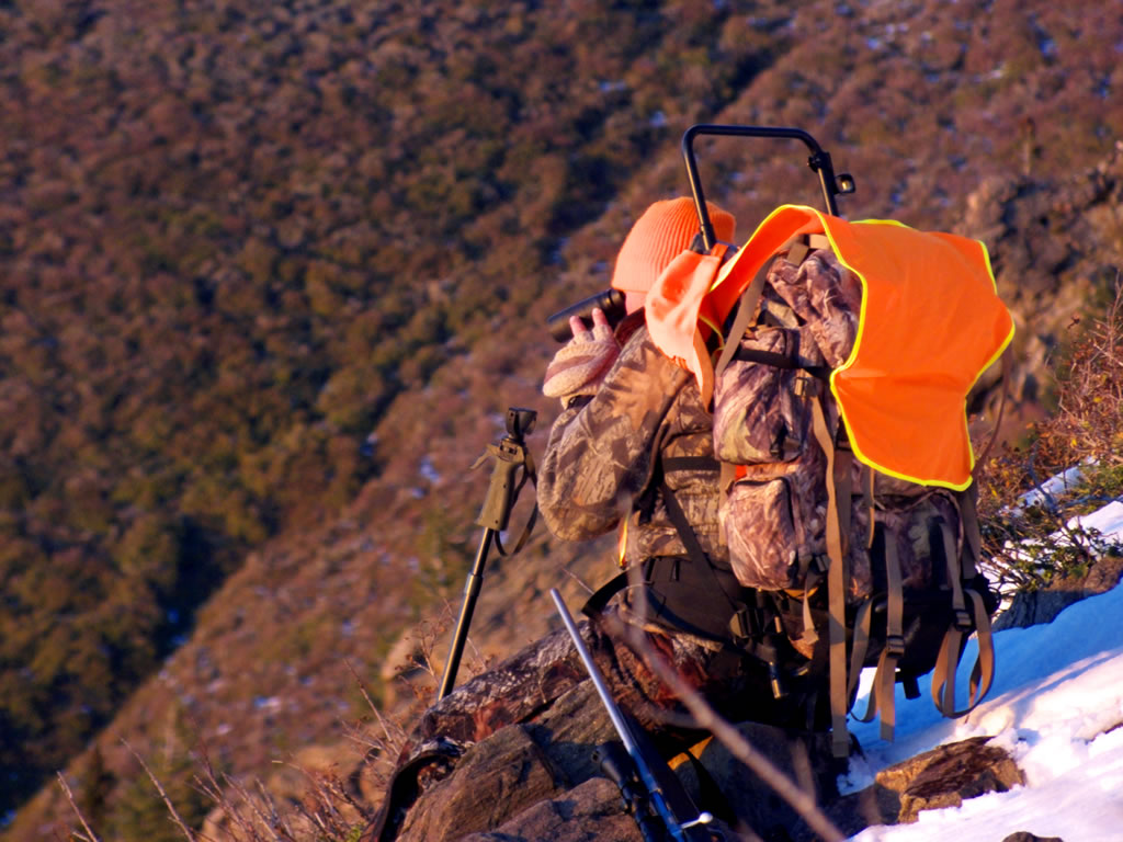 Glassing mule deer during the Utah buck/bull hunt.