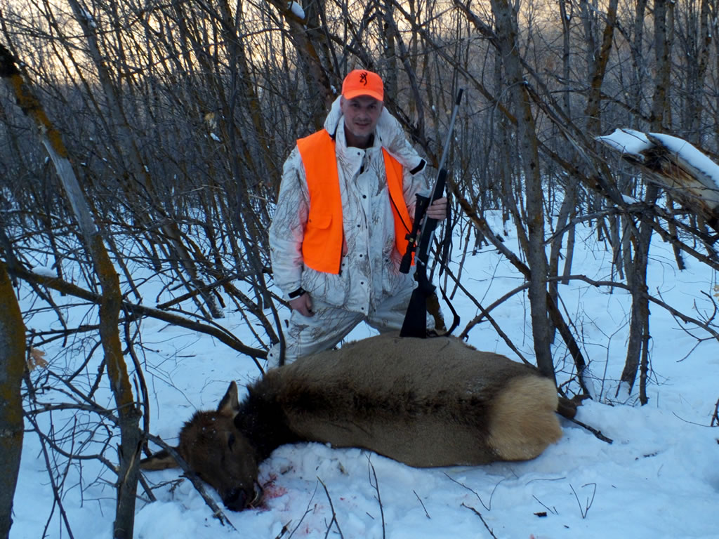 2012 Cow Elk taken with 270 WSM X-Bolt