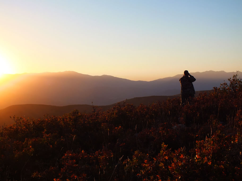 Glassing for deer at sunset.
