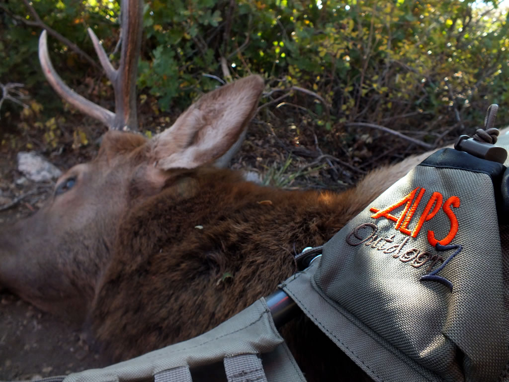 Alps Outdoorz Commander frame pack with bull elk