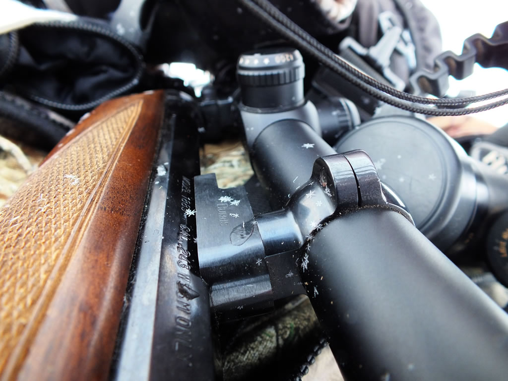 Frost crystals on my Winchester Model 1885.