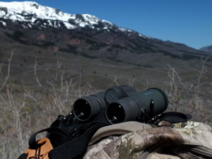 Vortex Razor HD 10x42 binoculars sitting on pack.
