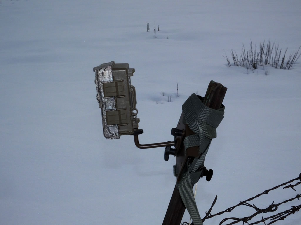 Browning Recon Force Trail Camera mounted on fence post with tree mount