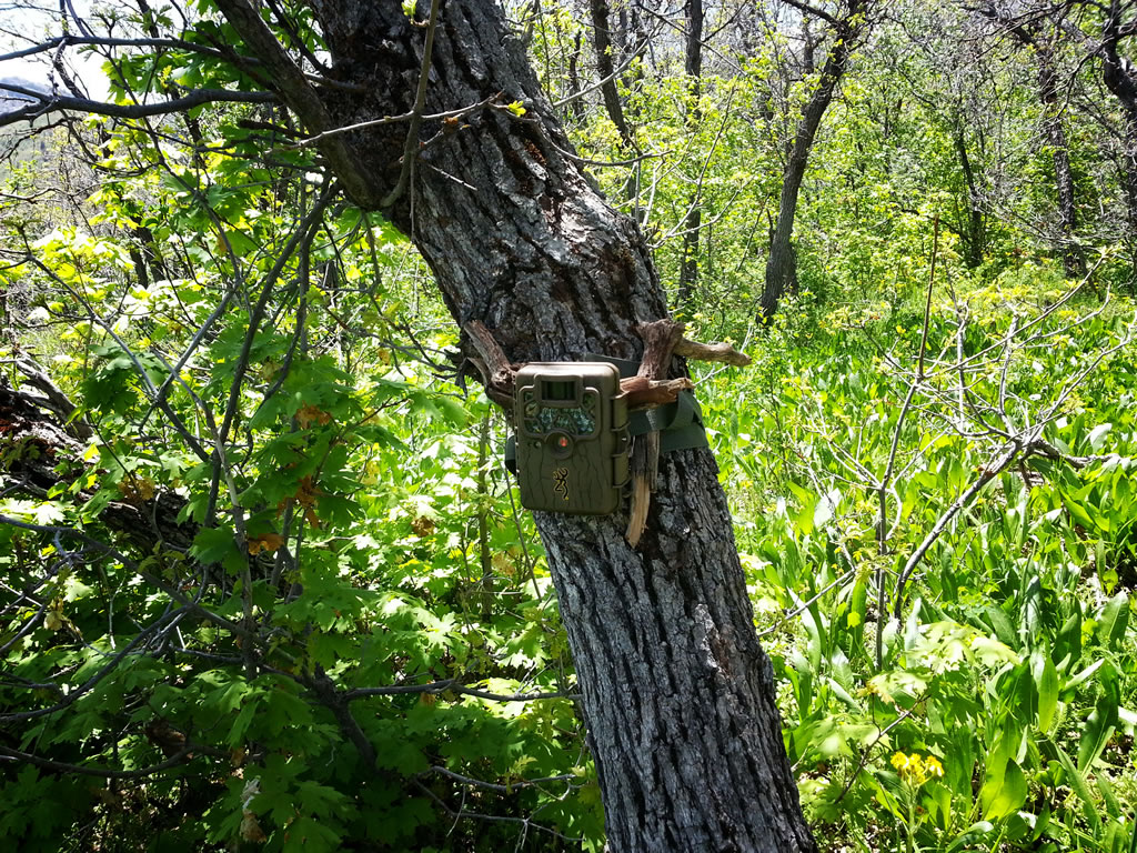 Browning Range Ops Trail Camera BTC-1