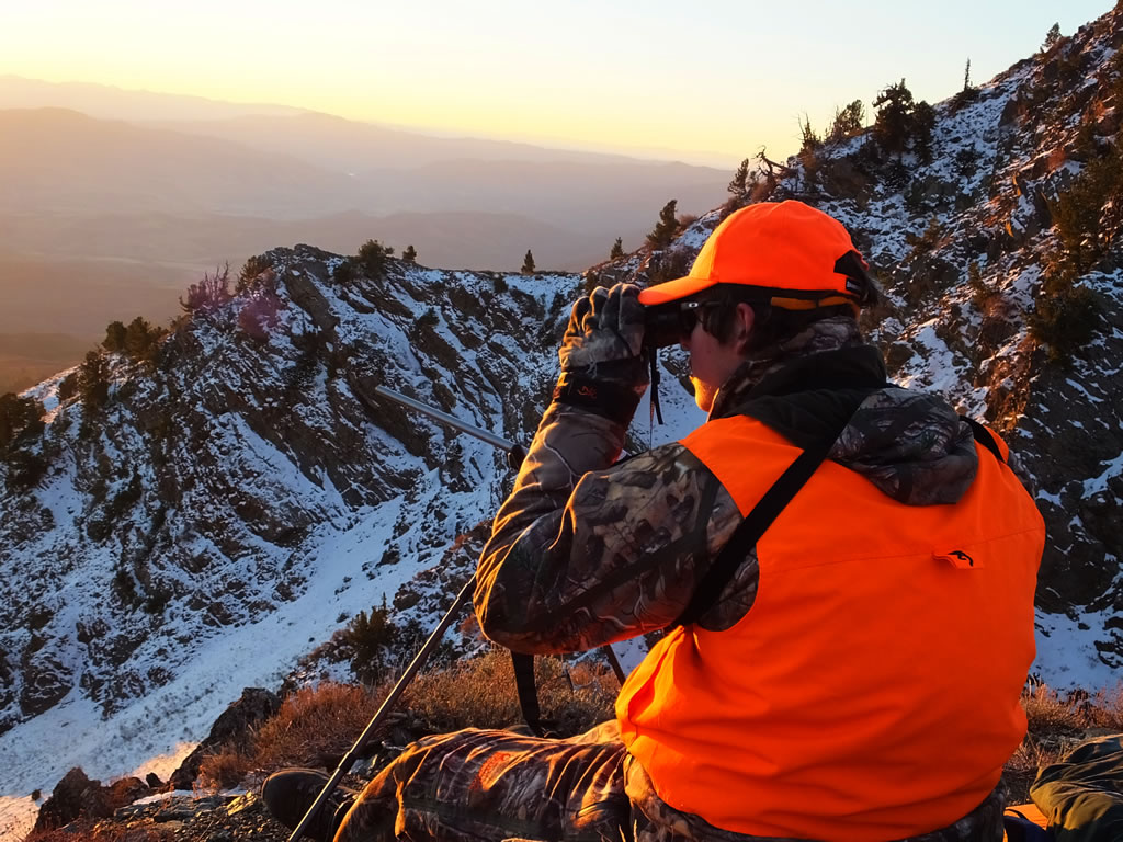Glassing for mule deer