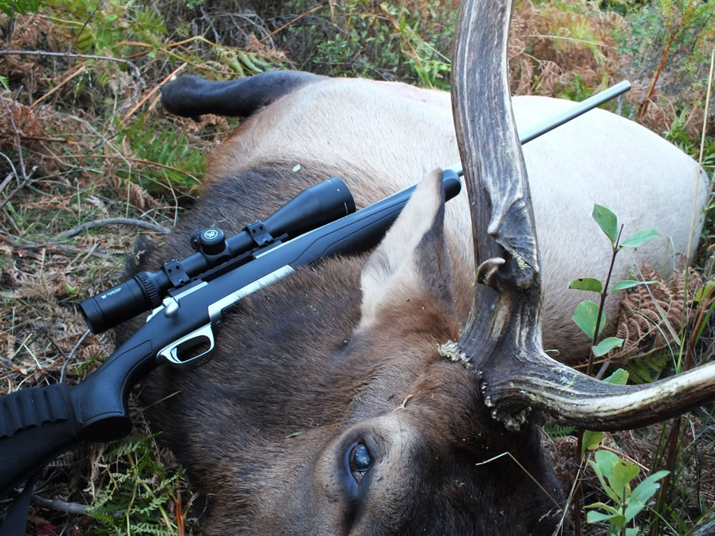 X-Bolt Stailnless Stalk with Bull Elk