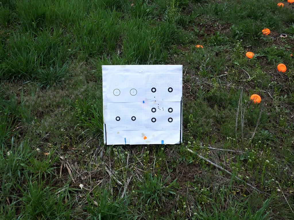 270 WSM Berger 150 gr. VLD 300 yard ladder