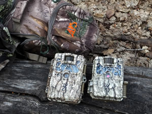 Browning Recon Force XR with Strike Force trail camera