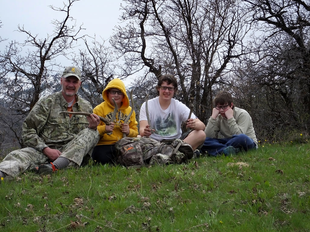 Five spike elk antlers