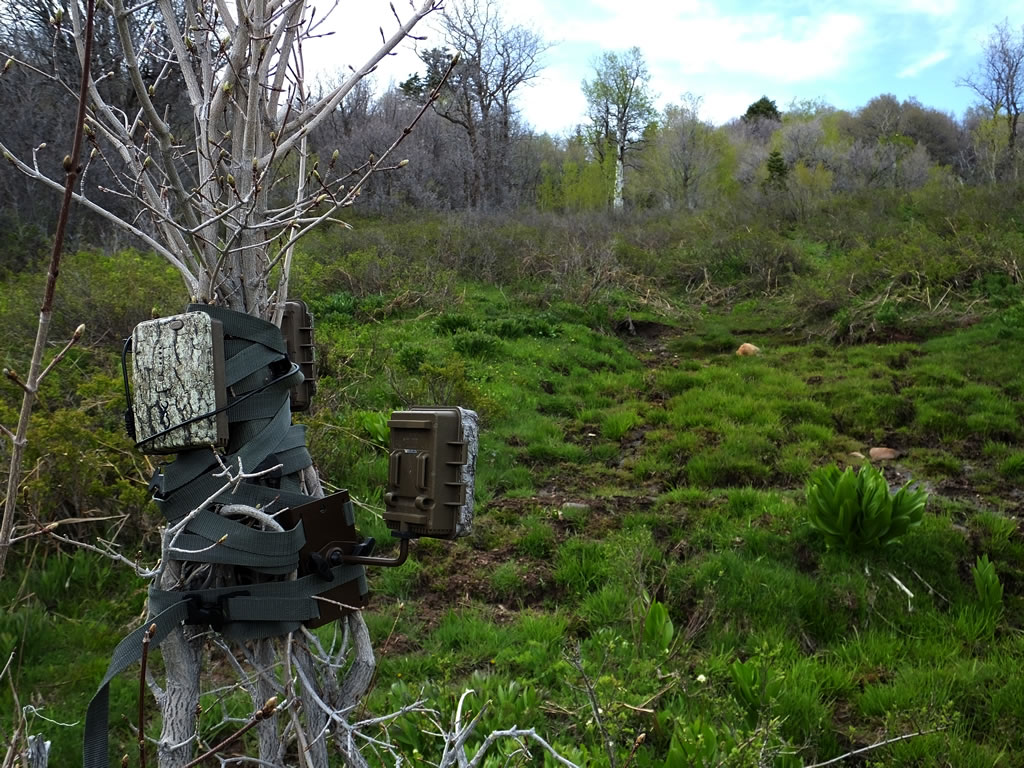 Recon Force XR trail camera, Recon Force trail camera, battery pack and tree mounts