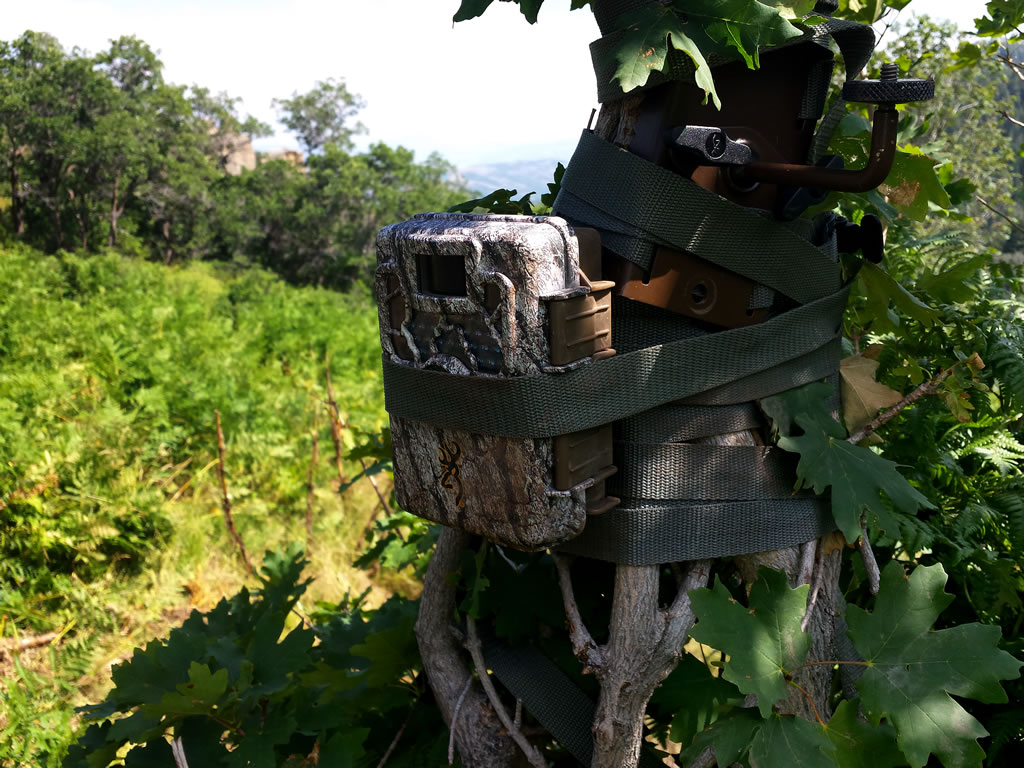 Strap covering trail camera lens