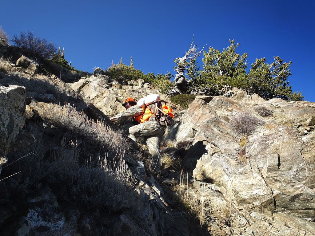 Packing out mule deer buck with Alps Pathfinder pack