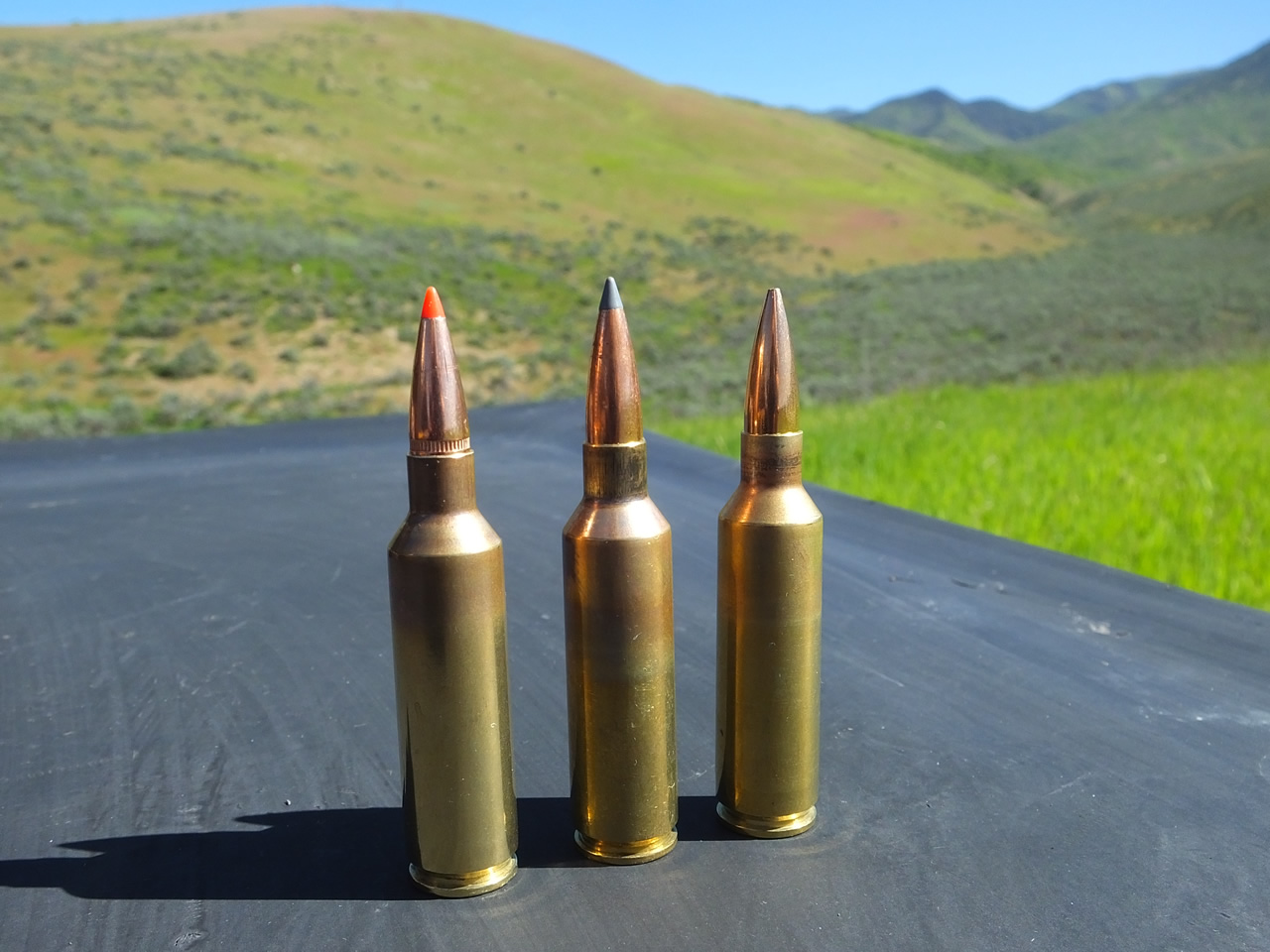 270 WSM cartridges