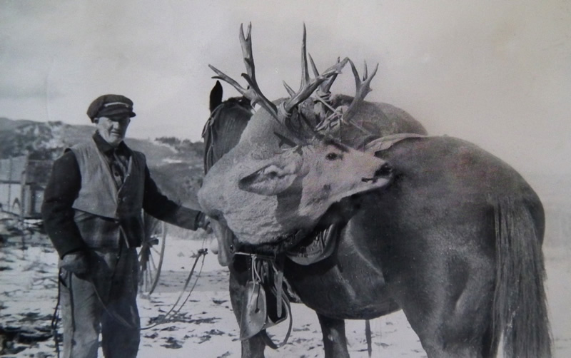 Big Buck - Durst Mountain CWMU