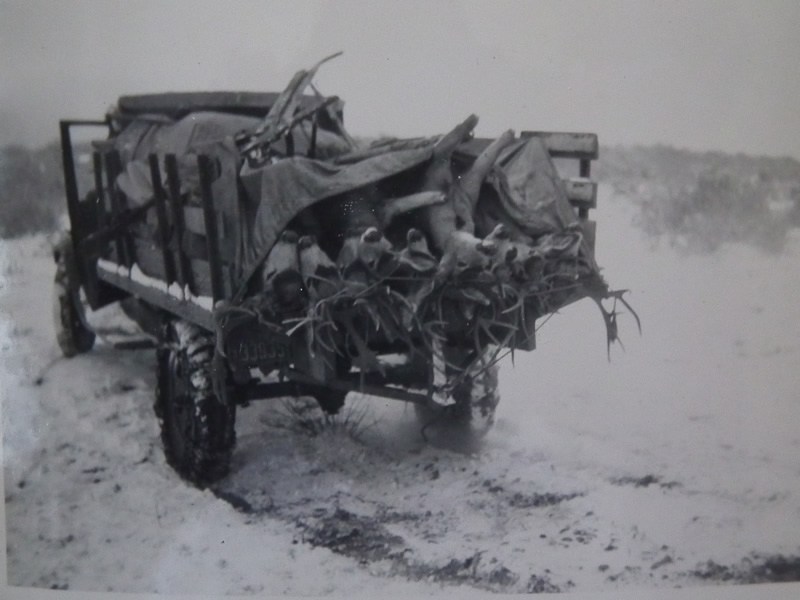 Truck load of deer - Durst Mountain CWMU