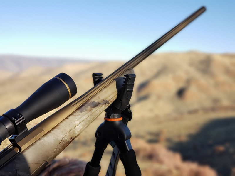 Kaden's X-Bolt Hell's Canyon Speed in 300 WSM.