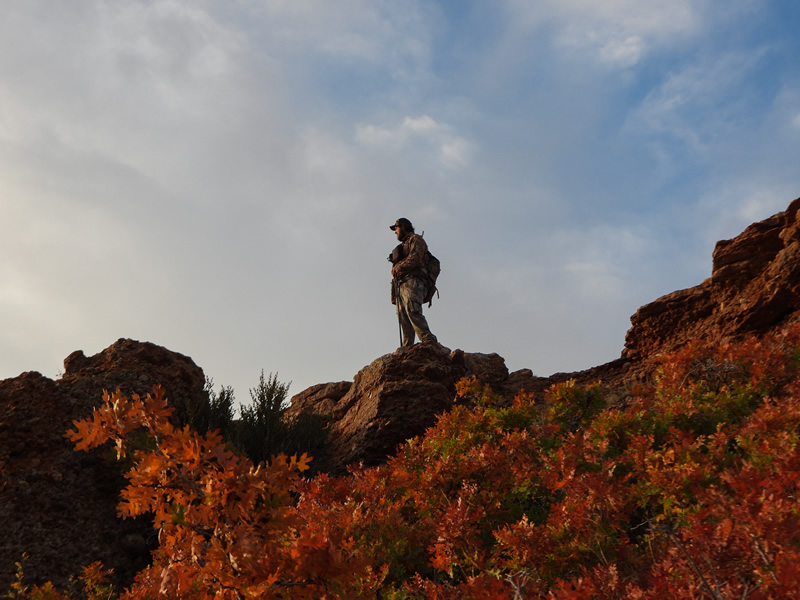 Dallen muzzleloader deer hunting looking across canyon.