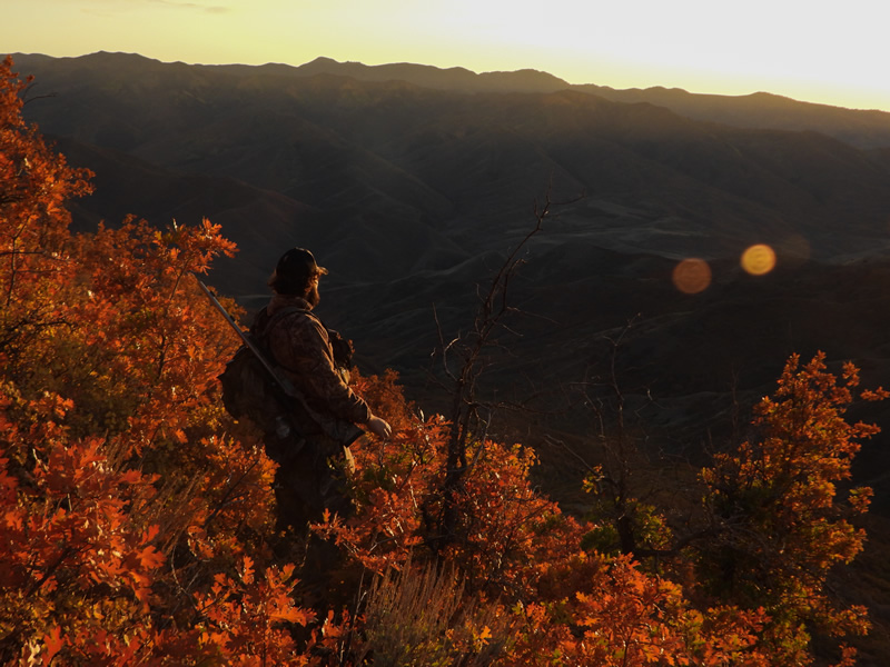 Dallen hunting at sunset.